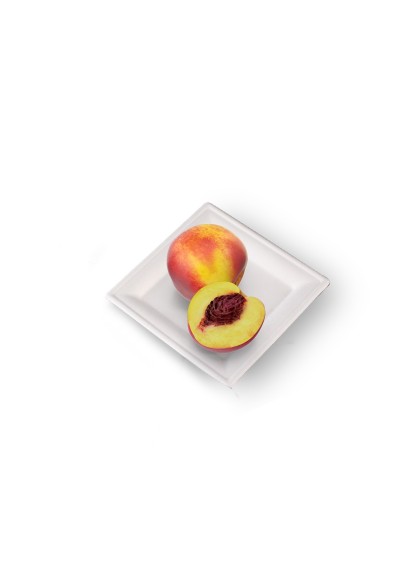 Plato Cuadrado 160